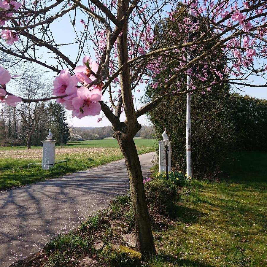 Landgasthof Gaensberg Wiesloch Dış mekan fotoğraf