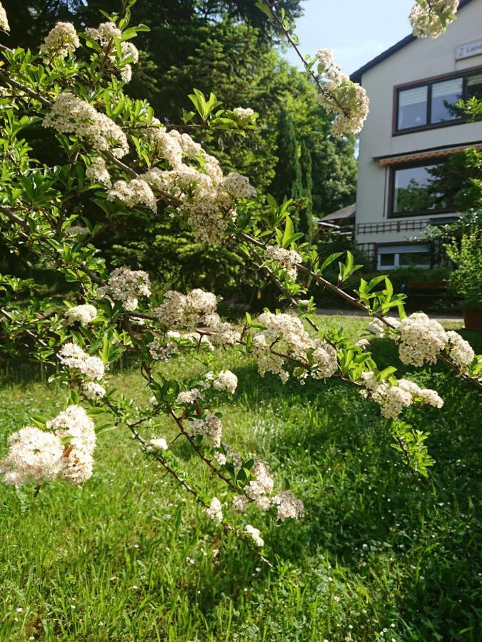 Landgasthof Gaensberg Wiesloch Dış mekan fotoğraf