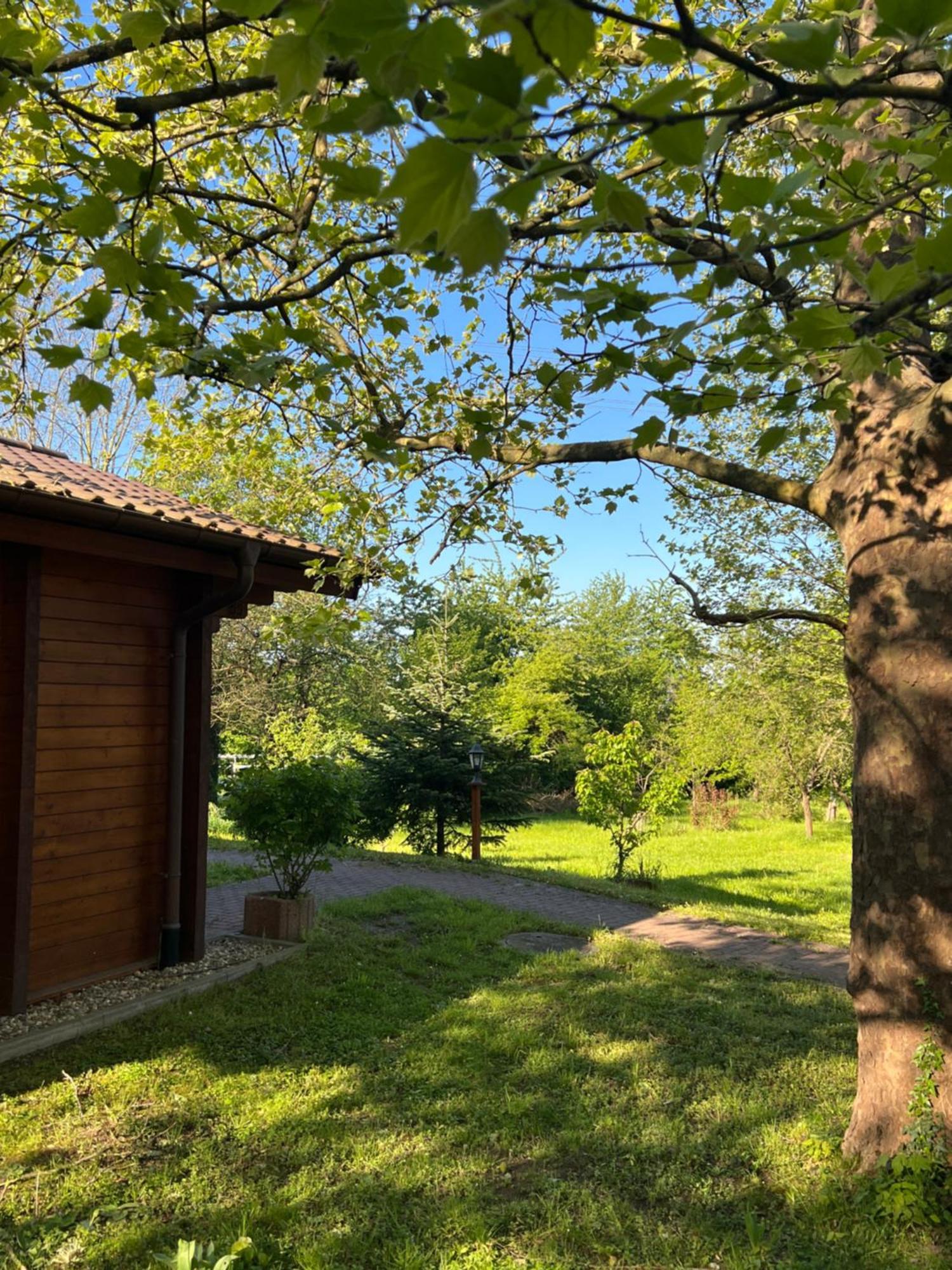 Landgasthof Gaensberg Wiesloch Dış mekan fotoğraf
